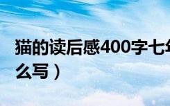 猫的读后感400字七年级（《猫》的读后感怎么写）