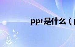 ppr是什么（ppr种类用途）