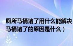 厕所马桶堵了用什么能解决（厕所的马桶堵了怎么办厕所的马桶堵了的原因是什么）