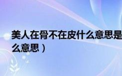 美人在骨不在皮什么意思是脸型好吗?（美人在骨不在皮什么意思）