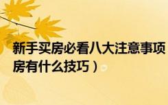 新手买房必看八大注意事项（欧洲房子购买注意什么新手买房有什么技巧）