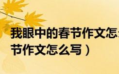 我眼中的春节作文怎么写600字（我眼中的春节作文怎么写）