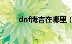 dnf鹰吉在哪里（dnf鹰吉在哪里）