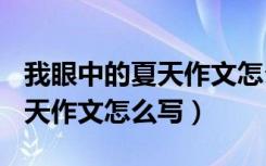 我眼中的夏天作文怎么写300字（我眼中的夏天作文怎么写）