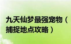 九天仙梦最强宠物（《九天仙梦》宠物技能和捕捉地点攻略）