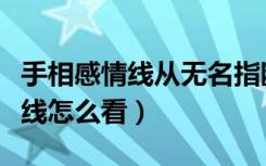 手相感情线从无名指断开上下两条（手相感情线怎么看）