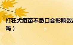 打狂犬疫苗不忌口会影响效果吗（打狂犬疫苗不忌口会失效吗）