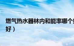 燃气热水器林内和能率哪个好（燃气热水器林内和能率哪个好）