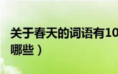 关于春天的词语有100个（关于春天的词语有哪些）