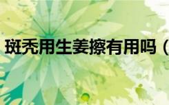 斑秃用生姜擦有用吗（斑秃用生姜擦有用吗）