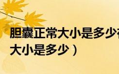 胆囊正常大小是多少在标准范围内（胆囊正常大小是多少）