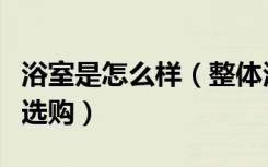 浴室是怎么样（整体浴室好不好整体浴室如何选购）