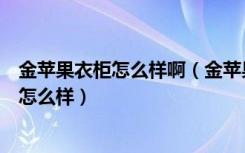 金苹果衣柜怎么样啊（金苹果家具几线品牌金苹果衣柜质量怎么样）