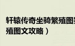 轩辕传奇坐骑繁殖图鉴（《轩辕传奇》坐骑繁殖图文攻略）