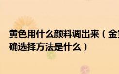 黄色用什么颜料调出来（金黄色的颜料怎么调出来颜料的正确选择方法是什么）