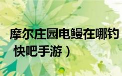 摩尔庄园电鳗在哪钓（摩尔庄园电鳗钓鱼方法 快吧手游）