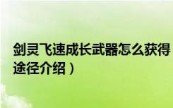 剑灵飞速成长武器怎么获得（剑灵飞速成长武器属性及获得途径介绍）