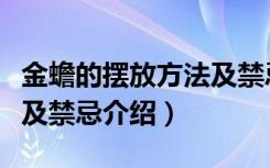 金蟾的摆放方法及禁忌视频（金蟾的摆放方法及禁忌介绍）