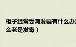 柜子经常受潮发霉有什么办法（柜子发霉怎么处理柜子为什么老是发霉）