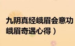 九阴真经峨眉会意功（《九阴真经》九阴真经峨眉奇遇心得）