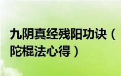 九阴真经残阳功诀（《九阴真经》九阴真经韦陀棍法心得）