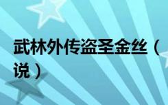 武林外传盗圣金丝（《新武林外传》之盗圣传说）