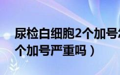 尿检白细胞2个加号怎么回事（尿检白细胞2个加号严重吗）