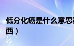 低分化癌是什么意思视频（低分化癌是什么东西）