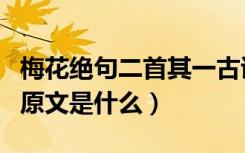 梅花绝句二首其一古诗（《梅花绝句二首》的原文是什么）