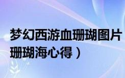 梦幻西游血珊瑚图片（《梦幻西游》梦幻西游珊瑚海心得）