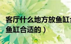 客厅什么地方放鱼缸合适的（客厅什么地方放鱼缸合适的）