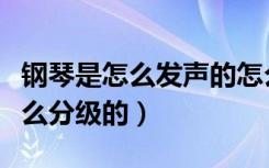 钢琴是怎么发声的怎么改变音调的（钢琴是怎么分级的）