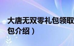 大唐无双零礼包领取（《大唐无双2》特权礼包介绍）