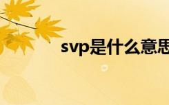 svp是什么意思（svp是详情）