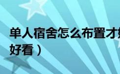 单人宿舍怎么布置才好看（单人宿舍怎么布置好看）