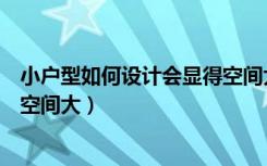 小户型如何设计会显得空间大一点（小户型如何设计会显得空间大）