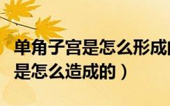 单角子宫是怎么形成的能不能治好（单角子宫是怎么造成的）