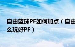 自由篮球PF如何加点（自由篮球PF加点与解析 自由篮球怎么玩好PF）