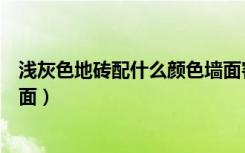 浅灰色地砖配什么颜色墙面客厅（浅灰色地砖配什么颜色墙面）