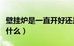 壁挂炉是一直开好还是随用随开好（壁挂炉是什么）