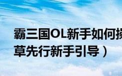 霸三国OL新手如何操作（霸三国士气震天粮草先行新手引导）