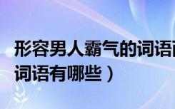 形容男人霸气的词语两个字（形容男人霸气的词语有哪些）