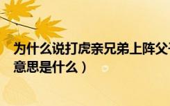 为什么说打虎亲兄弟上阵父子兵（打虎亲兄弟上阵父子兵的意思是什么）