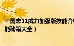 三国志11威力加强版技能介绍（《三国志11威力加强版》技能秘籍大全）