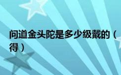 问道金头陀是多少级戴的（《问道》问道金头陀多少级带心得）