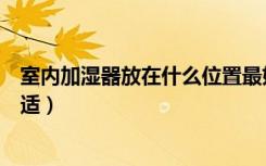 室内加湿器放在什么位置最好（室内加湿器放在什么位置合适）