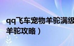 qq飞车宠物羊驼满级属性（《QQ飞车》宠物羊驼攻略）