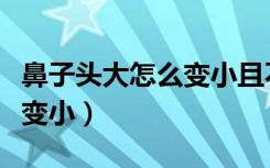 鼻子头大怎么变小且不用手术（鼻子头大怎么变小）