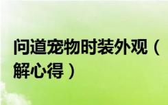 问道宠物时装外观（《问道》问道宠物时装详解心得）