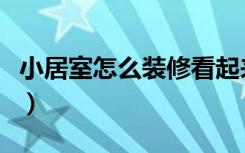小居室怎么装修看起来显大（小居室怎么装修）